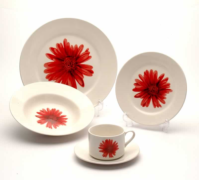 decal dinnerware 
  
   
     
    