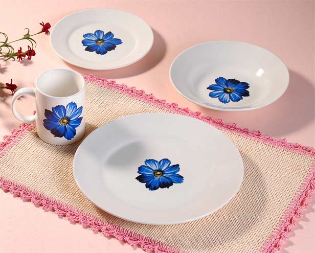 decal dinnerware
  
   
     
    