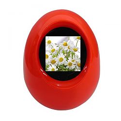 Digital Photo Frame DF-1612RD