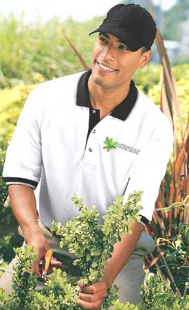 Port & Company- Pique Knit Sport Shirt With Striped Trim