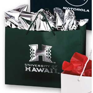 Gloss Laminated Euro Tote