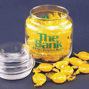 16 Oz. Apothecary Jar w/ bubble lid