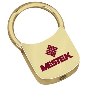 Gold Twist-Lock Keyholder