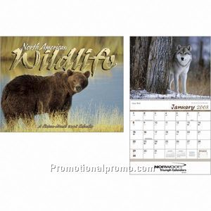 North American Wildlife