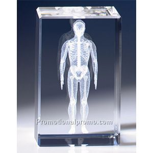Image 3 Crystal(TM) Human Anatomy