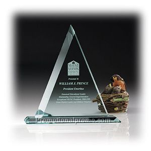 Delta Award - Medium