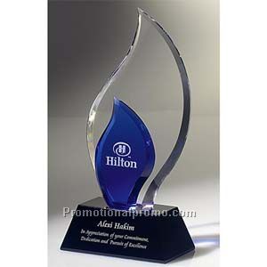 Trailblazer Award