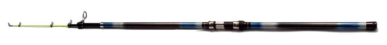 Telescoped Rods with Guide 
  
   
     
    