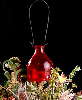 color sprayed glass bug catcher
  
   
     
    