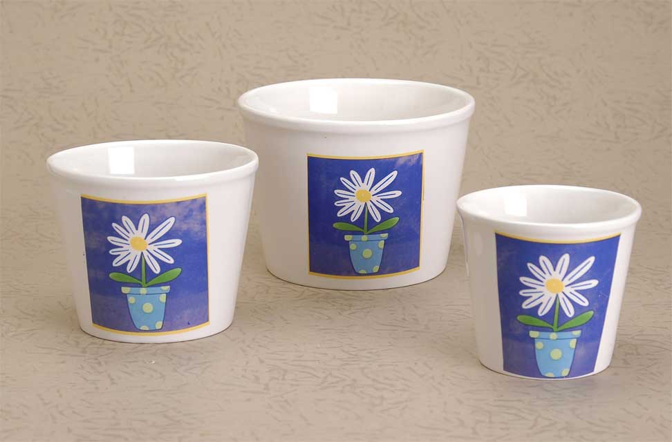 flower pot with decal
  
   
     
    