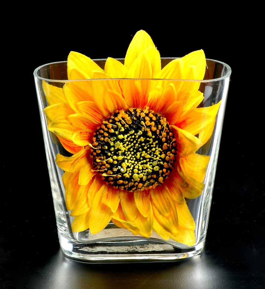 glass vase
  
   
     
    