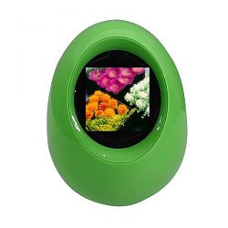 Digital Photo Frame DF-1612GN