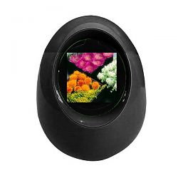 Digital Photo Frame DF-1612BK