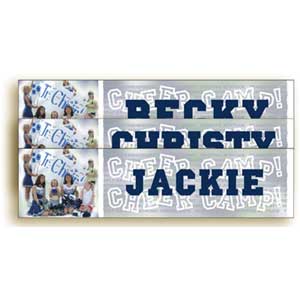 3" x 11 1/2" 4 Color Bumper Strips