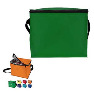 I-Cool Six-Pack Cooler