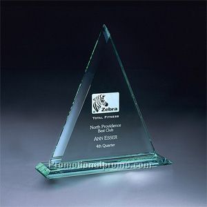 Delta Award - Large
