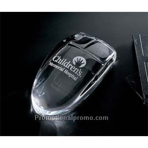 Computer Mouse Paperweight