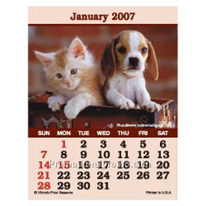 PRESS-N-STICK - PUPPIES AND KITTENS