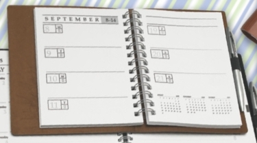 5 x 7 Leather Wraped Executive Planner