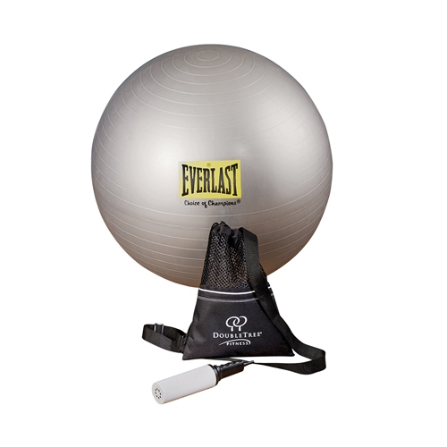 Everlast Fitness Ball