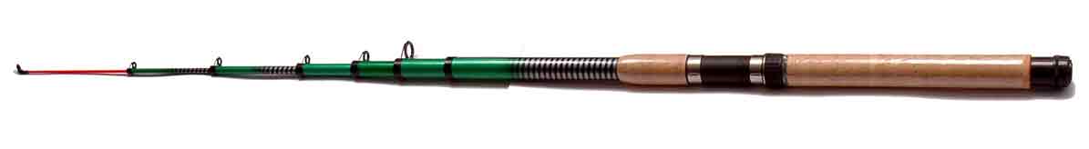 Telescoped Rods with Guide 
  
   
     
    