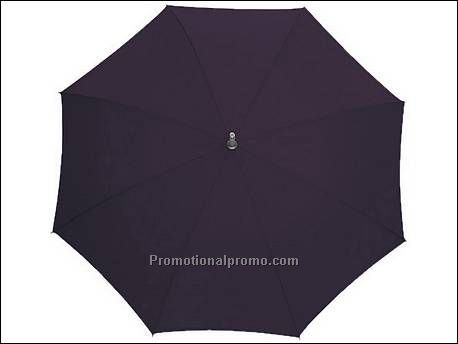 Automatisch te openen paraplu...