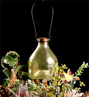 color sprayed glass bug catcher
  
   
     
    