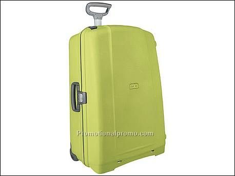 Koffer met 2 wielen 64 cm