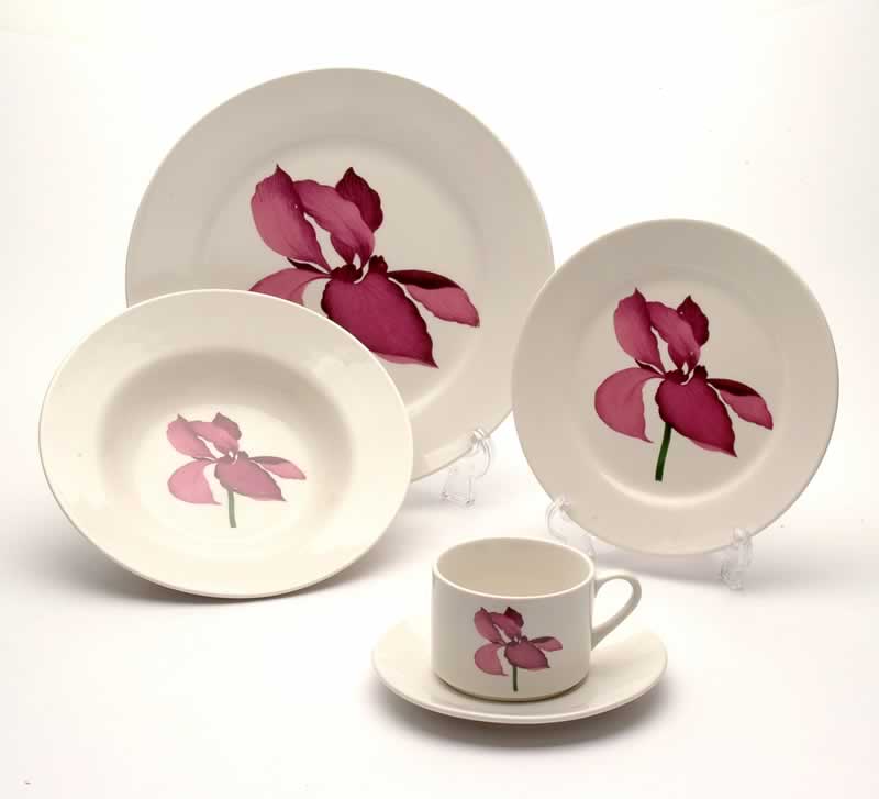  decal dinnerware 
  
   
     
    