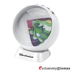 Digital Photo Frame DF-252WT