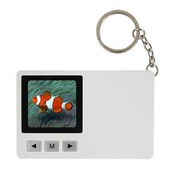 Digital Photo Frame DF-1610