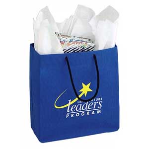 Nonwoven Gift Bag