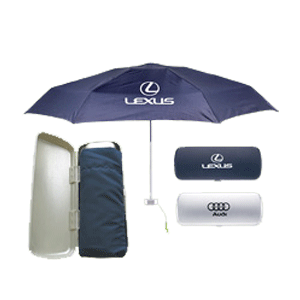 Umbrella in Stylish Case