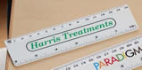 Promotional 6 (15cm) Ruler