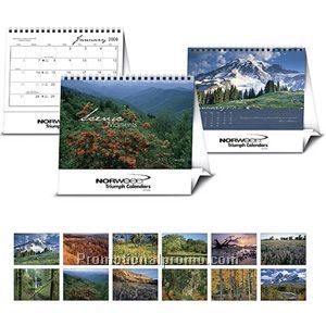 The Saturday Evening Post Large Desk