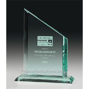 Pinnacle Award