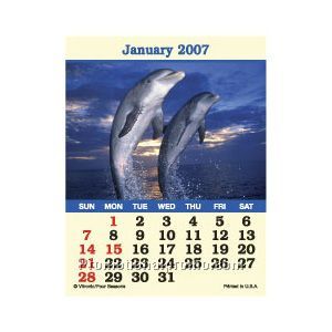 MAGNA-STICK - WILDLIFE