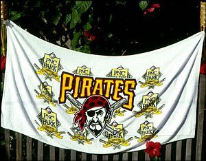 30 x 60, 8 lb. Beach Towel