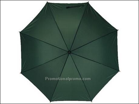 Automatisch te openen paraplu...