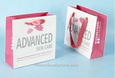 Promotional Paper gift bag