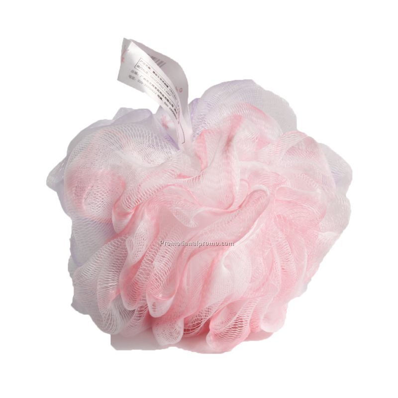Mesh bath sponge
