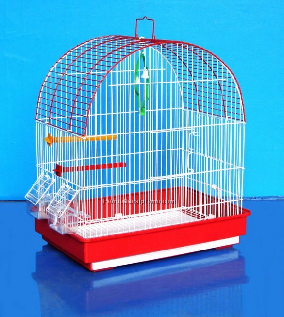 Bird Cages