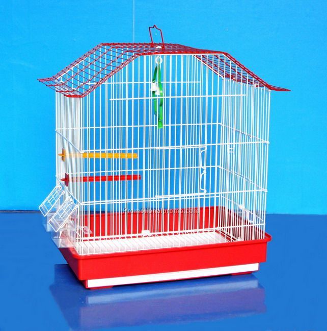 Bird cages