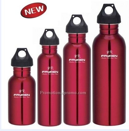 Stainless steel Water Bottle