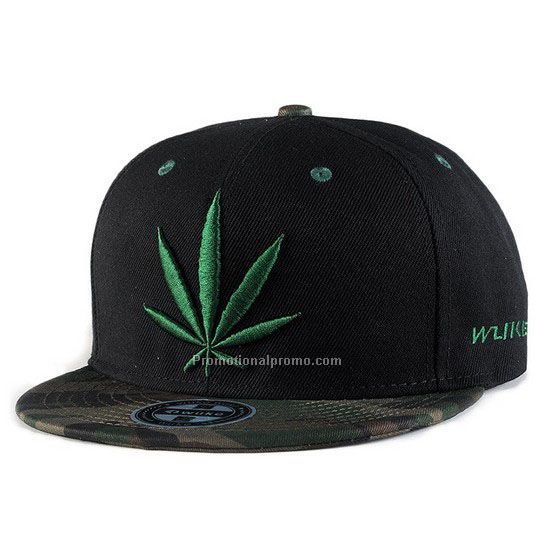 Embroidery snapback hat