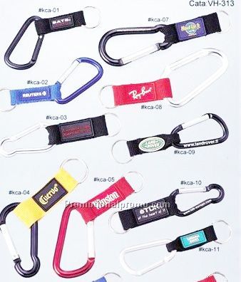 Carabiner with lanyard