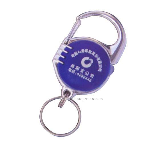 Carabiner keychain