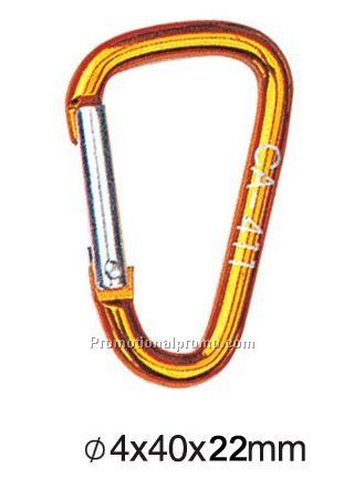 Promotional Standard Carabiner