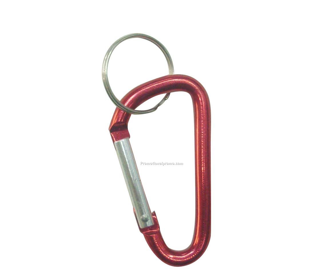 Carabiner keychain