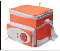 600D Polyester Cooler with FM Radio